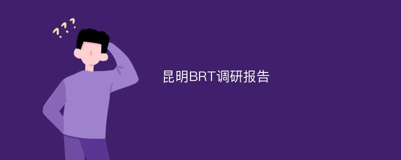 昆明BRT调研报告