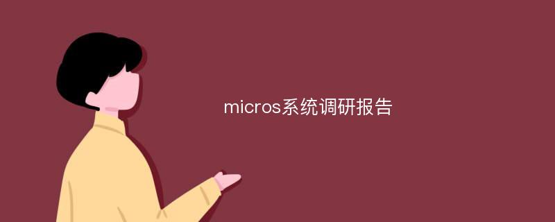 micros系统调研报告