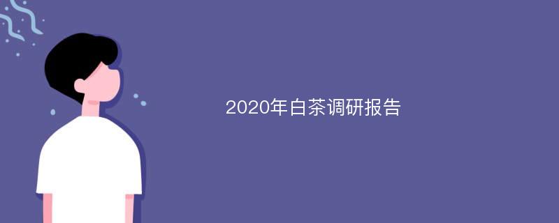 2020年白茶调研报告